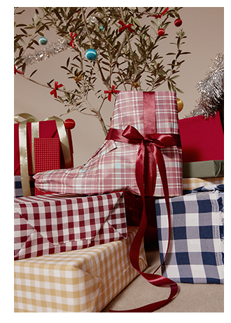 🎁 هدایا ویژه سال نو در ALDO!